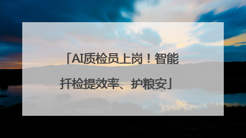 AI质检员上岗！智能扦检提效率、护粮安