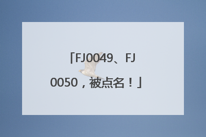 FJ0049、FJ0050，被点名！