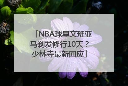 NBA球星文班亚马剃发修行10天？少林寺最新回应