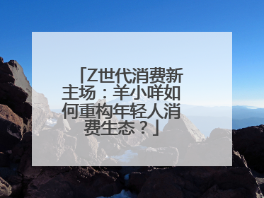 Z世代消费新主场：羊小咩如何重构年轻人消费生态？